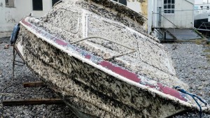 Bildet viser en båt som har fått mye rurskjell
