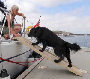 Bildet viser en hund som skal ombord en båt