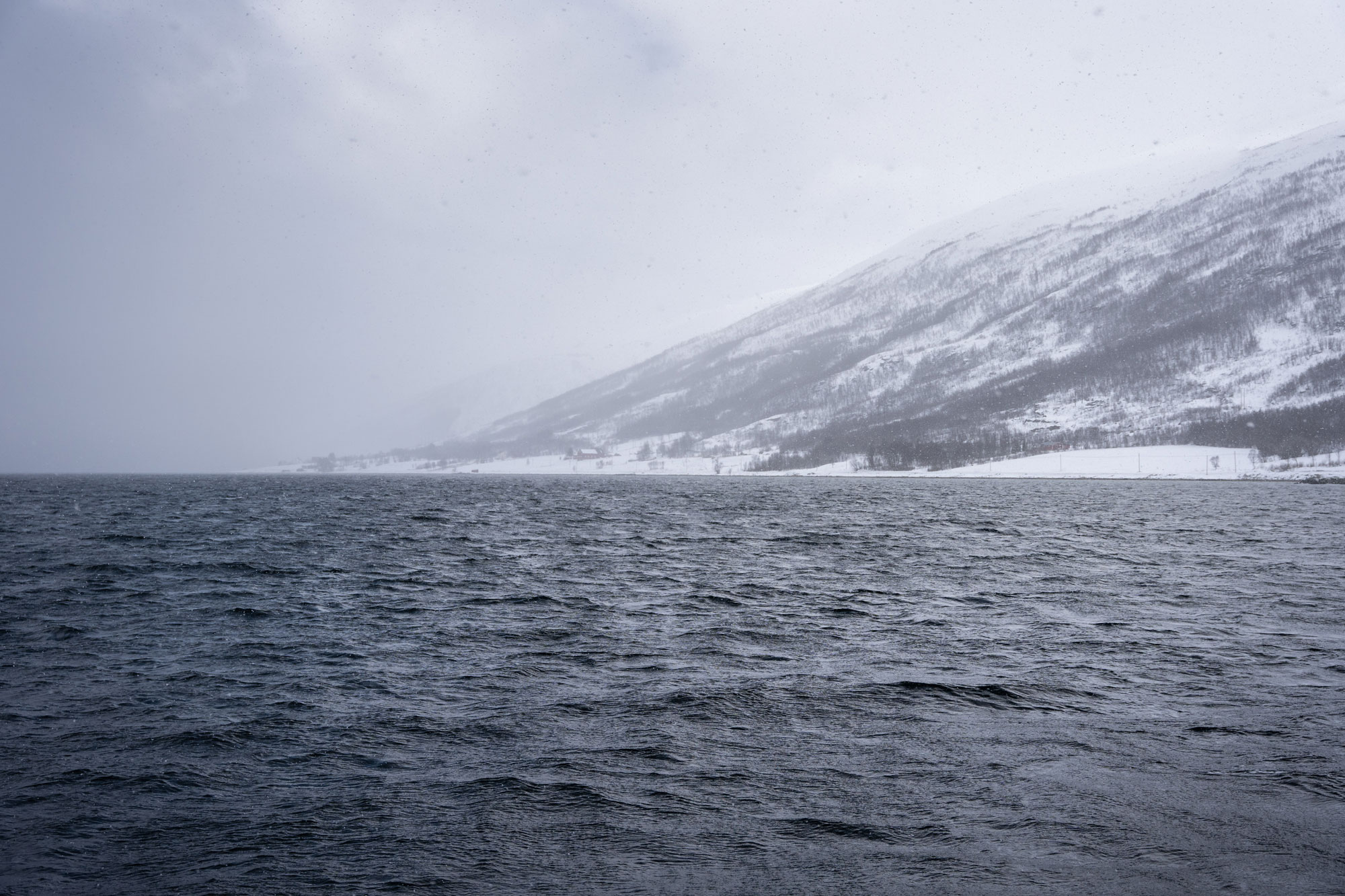 Snittemperatur i norske vann er på 6-10 grader