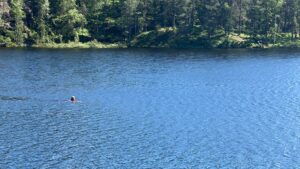 Bading i ferskvann
