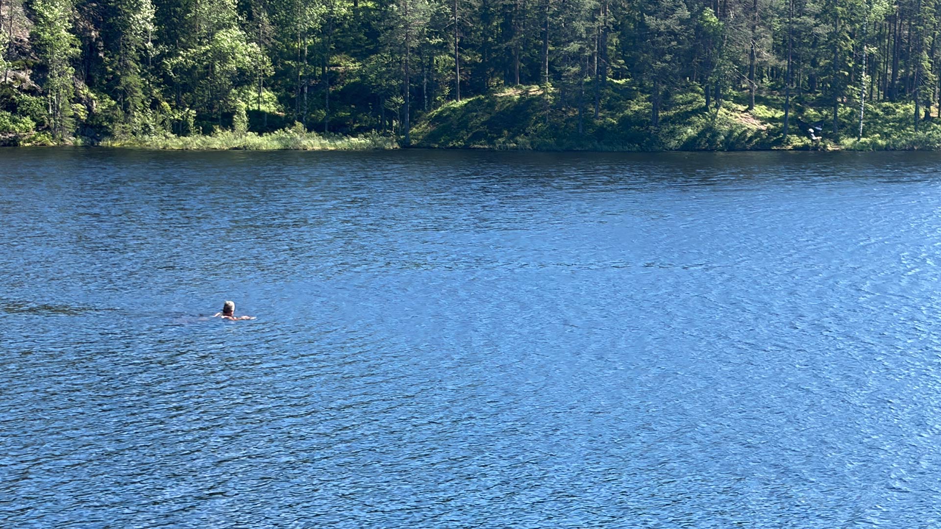 Bading i ferskvann